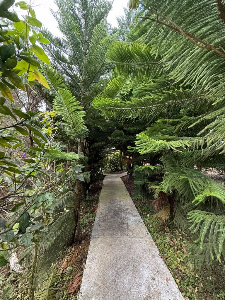 Dos villas de montaña en venta en Tatón, San José de Ocoa