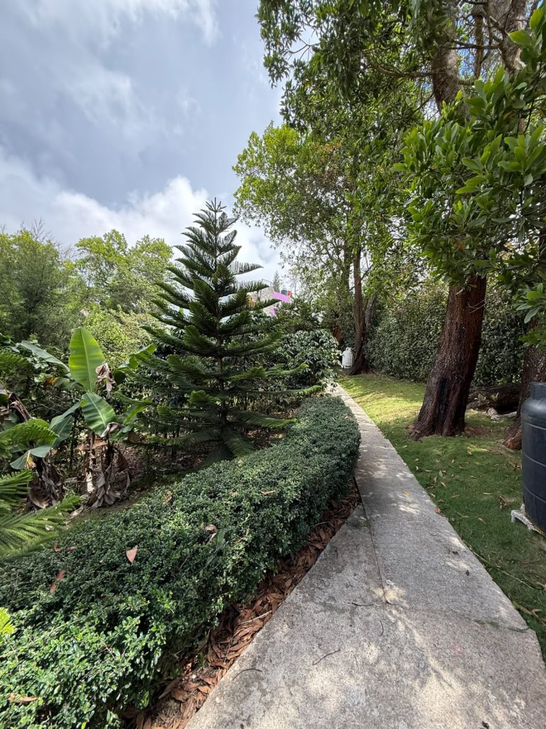 Dos villas de montaña en venta en Tatón, San José de Ocoa