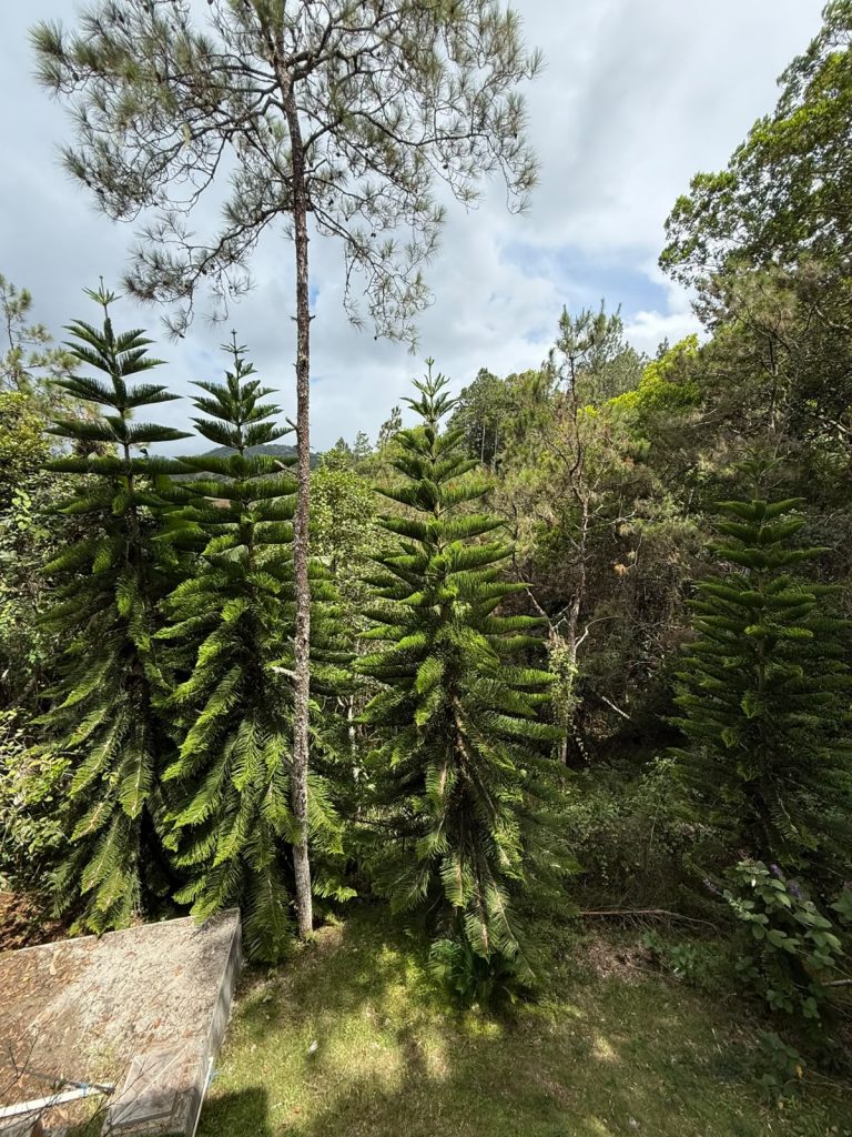 Dos villas de montaña en venta en Tatón, San José de Ocoa